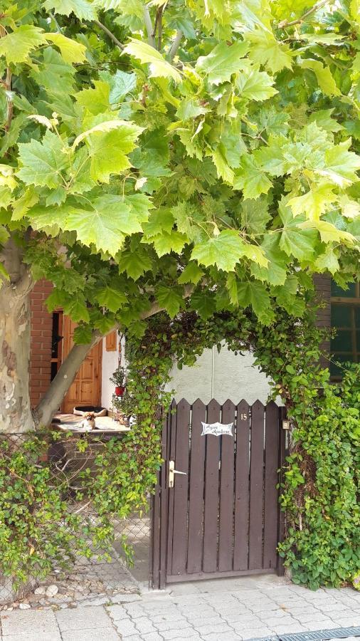 Agave Apartman Веленце Экстерьер фото