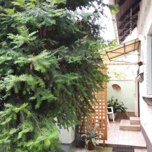 Agave Apartman Веленце Экстерьер фото