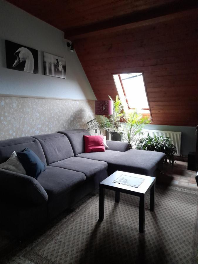Agave Apartman Веленце Экстерьер фото